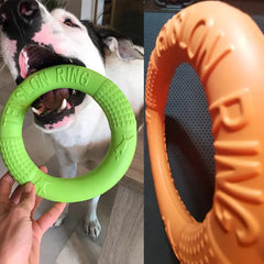 Interactive EVA Dog Training Ring