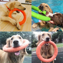 Interactive EVA Dog Training Ring
