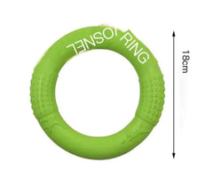 Interactive EVA Dog Training Ring