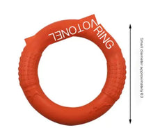 Interactive EVA Dog Training Ring
