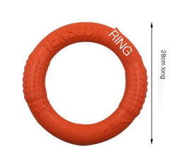 Interactive EVA Dog Training Ring