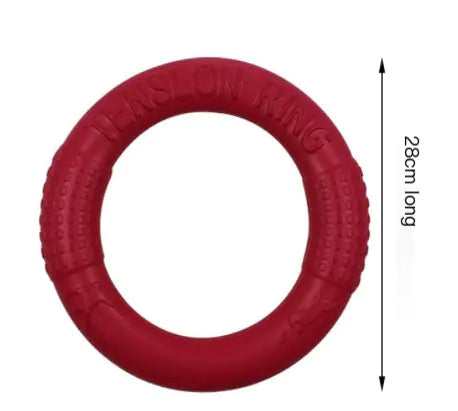 Interactive EVA Dog Training Ring