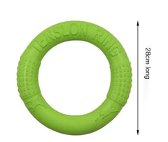 Interactive EVA Dog Training Ring