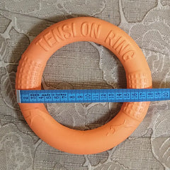 Interactive EVA Dog Training Ring