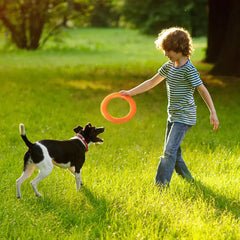 Interactive EVA Dog Training Ring